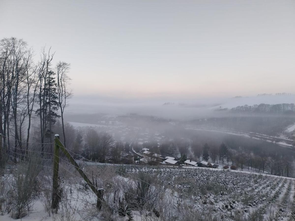 Ferienhaus Lena Im Sauerland Direkt Am Hennesee Meschede Extérieur photo